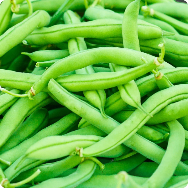 பீன்ஸ்