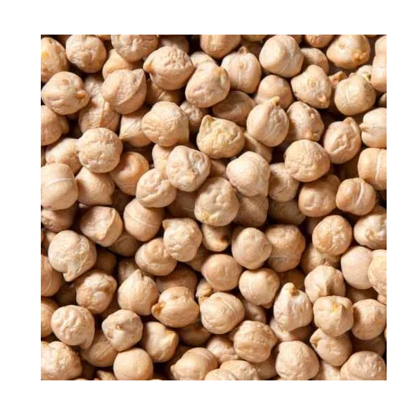 வெள்ளை சுண்டல்