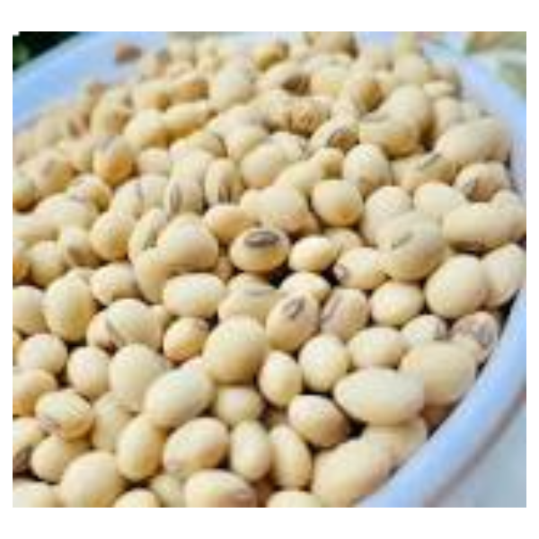 சோயா பீன்ஸ்