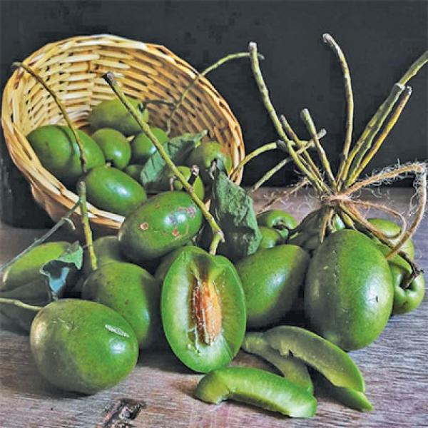 KOTTAMPALAM