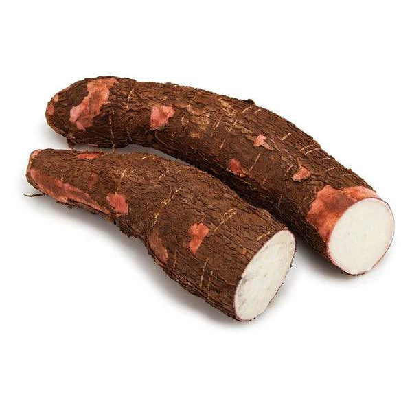 TAPIOCA