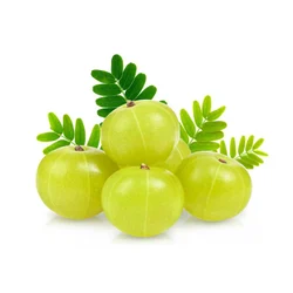 HILL AMLA