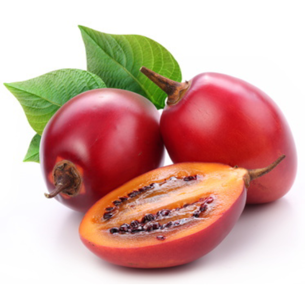 TREE TOMATTO