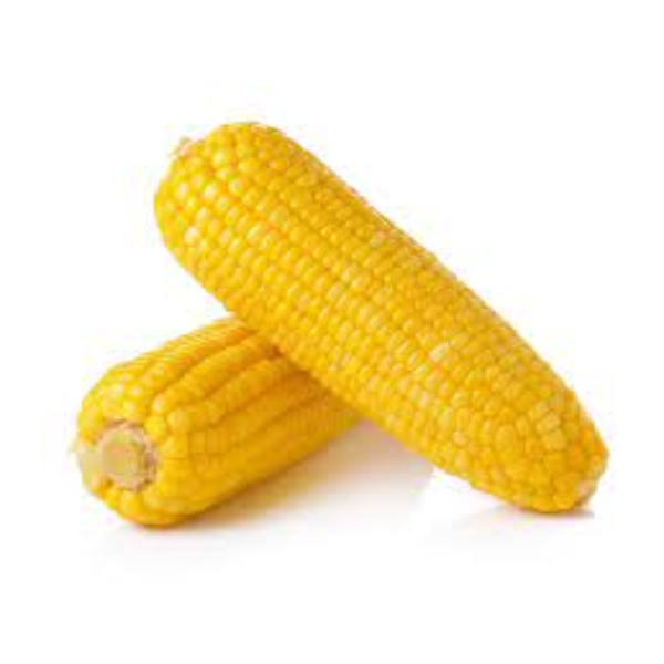 SWEET CORN