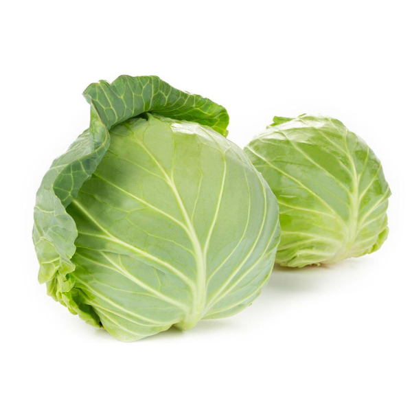 முட்டைகோஸ்
